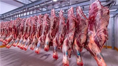 تباين أسعار اللحوم الكندوز في الأسواق اليوم السبت 24/8/2024