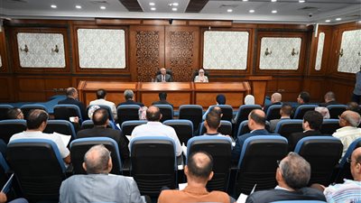 كامل الوزير: خطة شاملة لجعل مصر مركزًا لدباغة وتصنيع المنتجات الجلدية