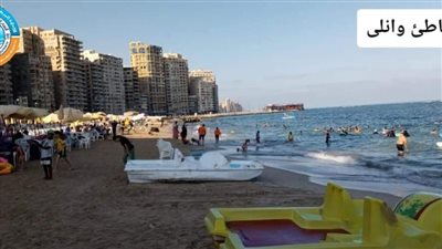 تعرف على نسب إقبال المواطنين على شواطئ الإسكندرية 