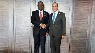 وزير الخارجية يلتقي نظيره الناميبي بمؤتمر التيكاد