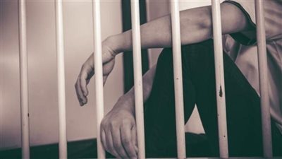 حيثيات الحكم على محمود محمد الملط بالسجن 6 سنوات في قضية FBI 