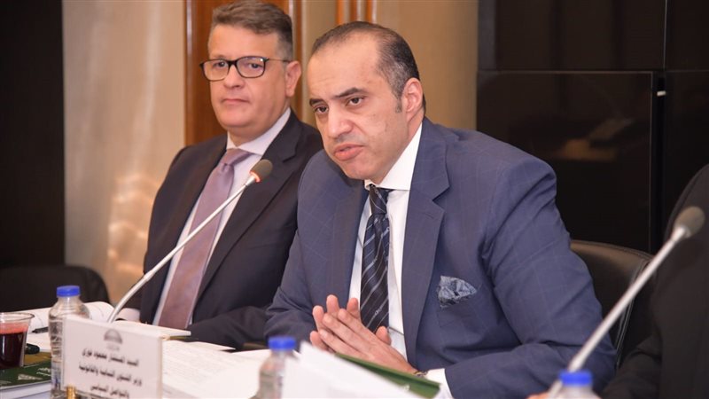 المستشار محمود فوزي