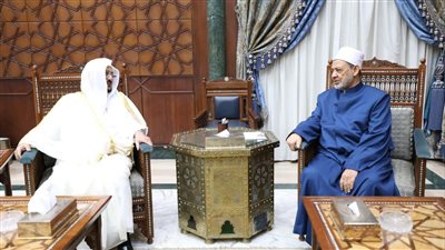 شيخ الأزهر يطالب بإعادة النظر في فتاوى حقوق المرأة التي طغى فيها فقه العادات والتقاليد 