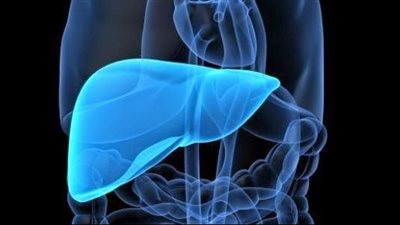 6 أطعمة ومشروبات تحافظ على صحة الكبد 