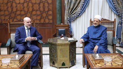 قاضي قضاة فلسطين يطلع شيخ الأزهر على تحركات أبو مازن لوقف العدوان الإسرائيلي