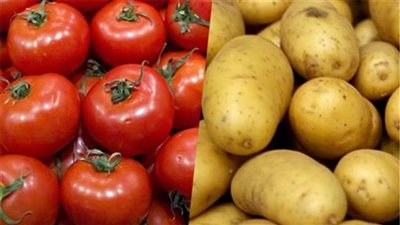 نقيب الفلاحين يكشف سبب ارتفاع أسعار الطماطم وموعد انخفاض البطاطس 