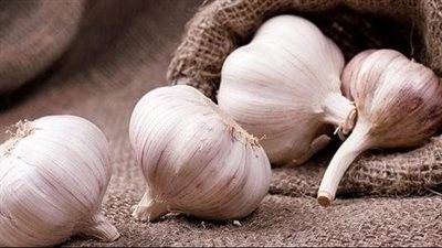 فوائد الثوم على الريق، يعزز صحة القلب ويقوي المناعة وينظم الهضم 
