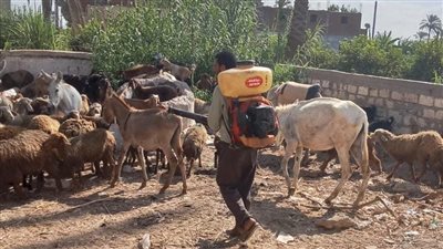 تقديم خدمات طبية لـ 460 مواطنا خلال قافلتين في البحيرة 