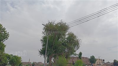 تلبد سماء المحافظة بالسحب، تقلبات جوية على الأقصر وتحذير من الأرصاد (بث مباشر)