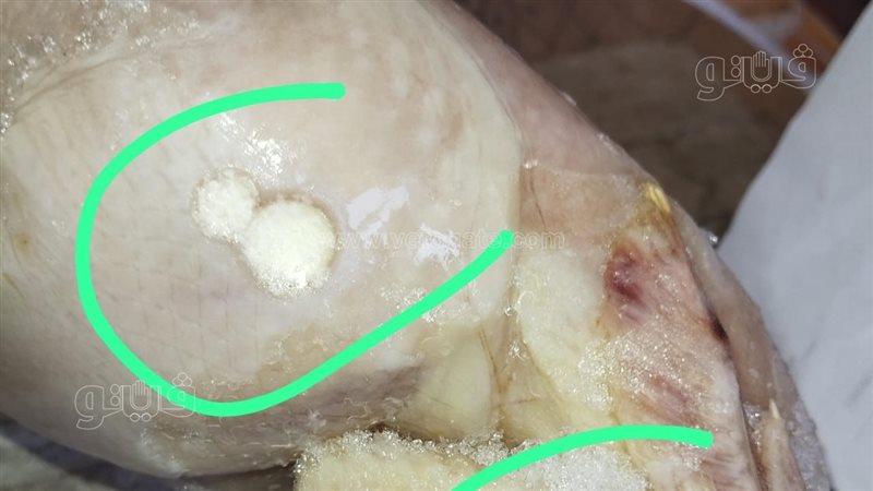 ضبط طن فراخ فاسدة