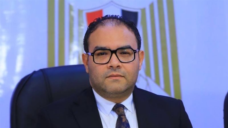محمد هيبة، عضو مجلس