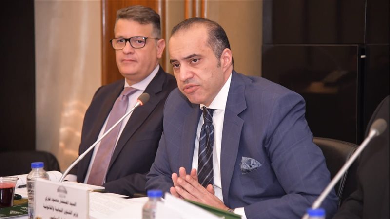 المستشار محمود فوزى