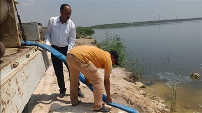 تنمية البحيرات يطلق مليون وحدة زريعة سمكية في بحيرة مريوط