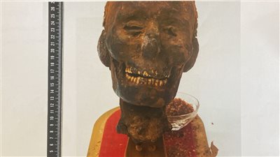 مصر تسترد 3 قطع أثرية من هولندا خرجت بطريقة غير شرعية (صور)