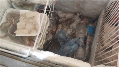 إغلاق 79 منشأة غذائية مخالفة في الإسماعيلية (صور ) 