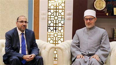مفتي الجمهورية يبحث مع نائب رئيس مجلس الإفتاء السويدي تعزيز التعاون الإفتائي