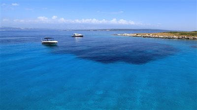 تحقيق اكتشاف 