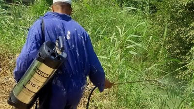 صحة البحيرة تكثف أعمال مكافحة ناقلات الأمراض المعدية بشوارع المحافظة (صور)