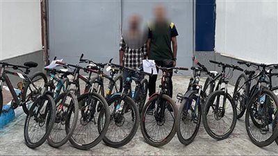 حبس تشكيلين عصابيين تخصصا في سرقات المساكن وماكينات الري ببني سويف