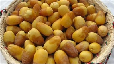 فوائد البلح، يقوي العظام وينظم الهضم ويحمي من السرطان 