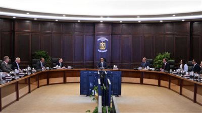  رئيس الوزراء يلتقي المدير العام لشركة 