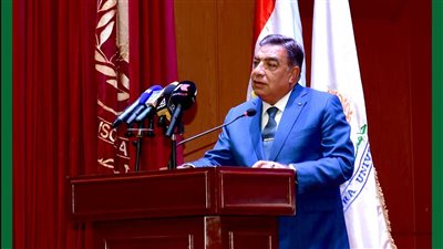 محافظ الدقهلية يكشف حقيقة الهبوط الأرضي في شرق المنصورة 