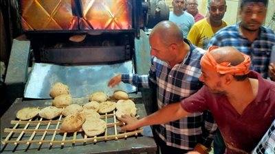 تحرير 36 محضرا لمخابز غير ملتزمة بالجيزة