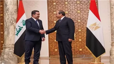 الأعلى للاقتصاد العربي الإفريقي: 3 أهداف مهمة لمصر في العراق