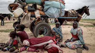 توقف حركة النقل البري بين مصر والسودان، اعرف السبب 