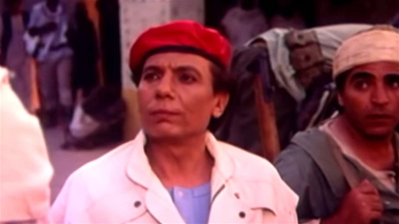 شمس الزناتي