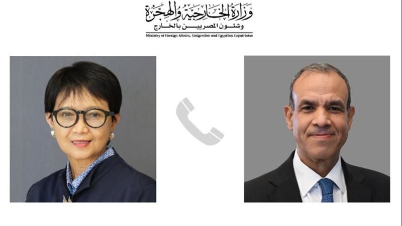 الدكتور بدر عبد العاطى