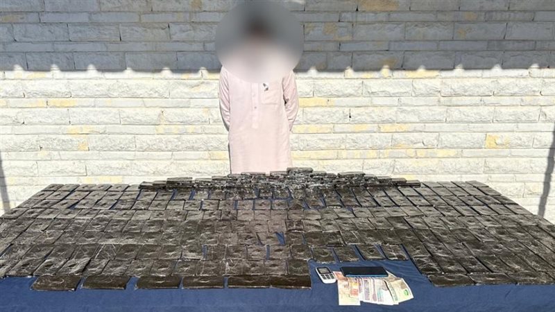 ضبط 325 طربة حشيش