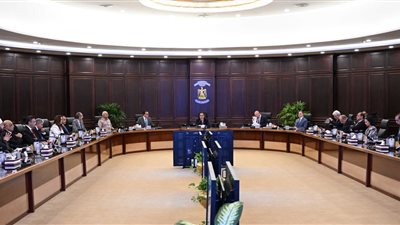 مجلس الوزراء يؤكد موقف مصر الثابت والراسخ تجاه القضية الفلسطينية 