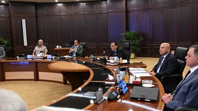 الحكومة توافق على طلب تحالف أوراسكوم بشأن أرض مشروع إنتاج الهيدروجين الأخضر 