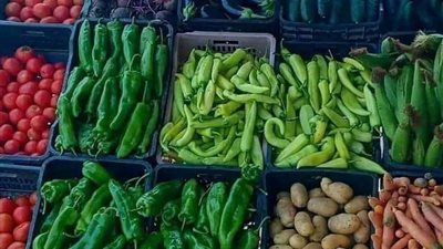 أغسطس شهر ارتفاع أسعار الخضراوات.. البطاطس على رأس القائمة.. الطماطم تتخطى المانجو.. وخبراء يوضحون الأسباب وموعد الانخفاضات