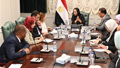 توجيه عاجل بتشكيل لجنة لبناء قاعدة بيانات شاملة للأشخاص ذوي الإعاقة