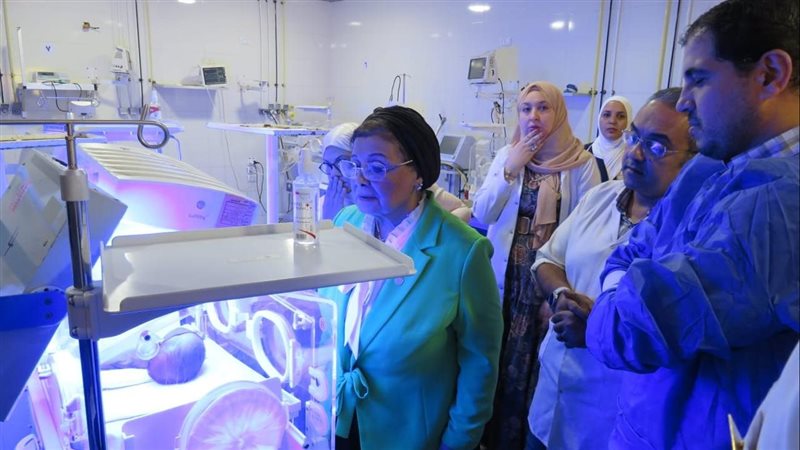 د. عبلة الألفي، فيتو
