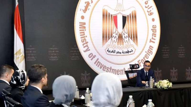 وزارة الاستثمار،