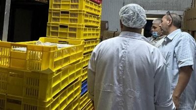 ضبط دجاج منتهي الصلاحية وتحرير 14 محضرا لمخابز مخالفة في الشرقية 