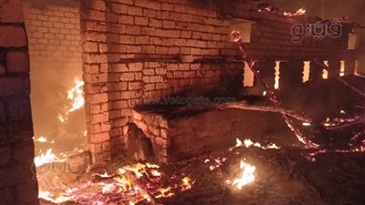 نفوق ماشية وتفحم حظائر في حريق هائل بقرية 