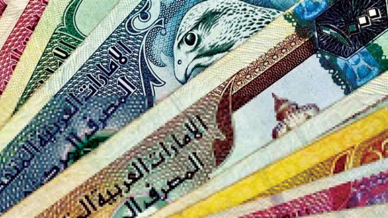 الدرهم الاماراتى،