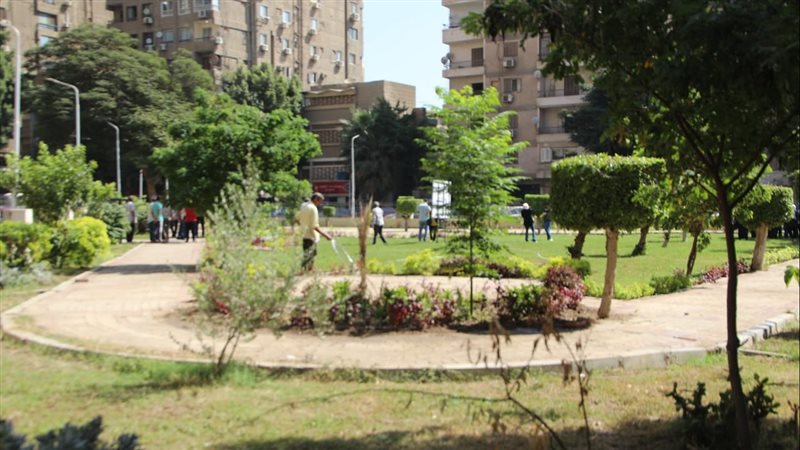 زراعة الأشجار 