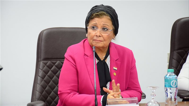 د.عبلة الألفي نائب