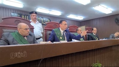 تنحي محامي المتهم الثاني في قضية طفل شبرا الخيمة «ضحية الدارك ويب» 