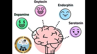 تناولها يوميًا، أطعمة  تحسن مزاجك، وتزيد هرمونات السعادة