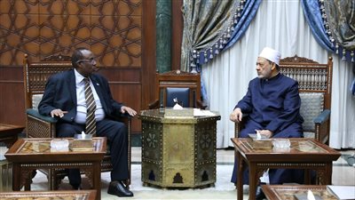 الإمام الأكبر: الأزهر يتضامن مع الشعب الصومالي في مواجهة التحديات والصراعات