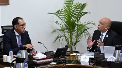 الحكومة: 49% من المشروعات المتوسطة والصغيرة موجهة للمرأة واهتمام كبير بالصعيد