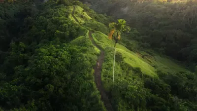 عمليات بحث مكثفة عن مراهق فرنسي مفقود في بالي منذ أسبوع