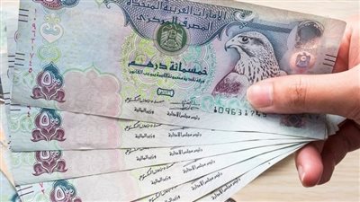 سعر الدرهم الإماراتي مقابل الجنيه المصرى اليوم الأحد 8 سبتمبر 2024