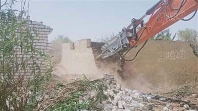 إزالة 4 حالات تعدٍ على أراض زراعية بأرمنت في الأقصر (صور)